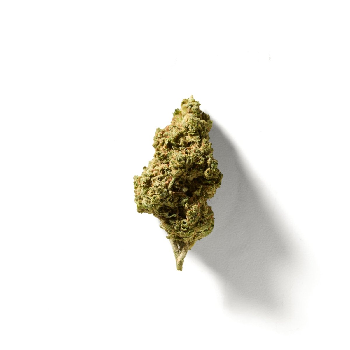 BudMother No Milk THCA Hemp Flower