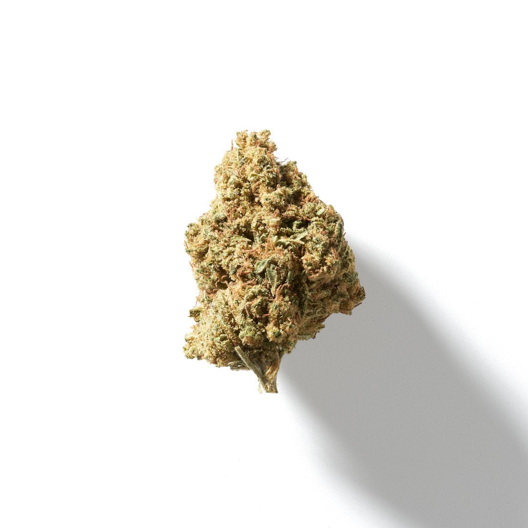 Sorbet Punch THCA Hemp Flower