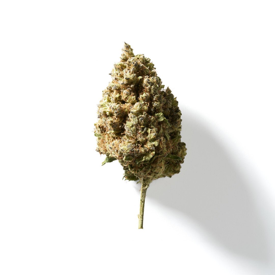 BudMother Cherry Lady HHC Flower
