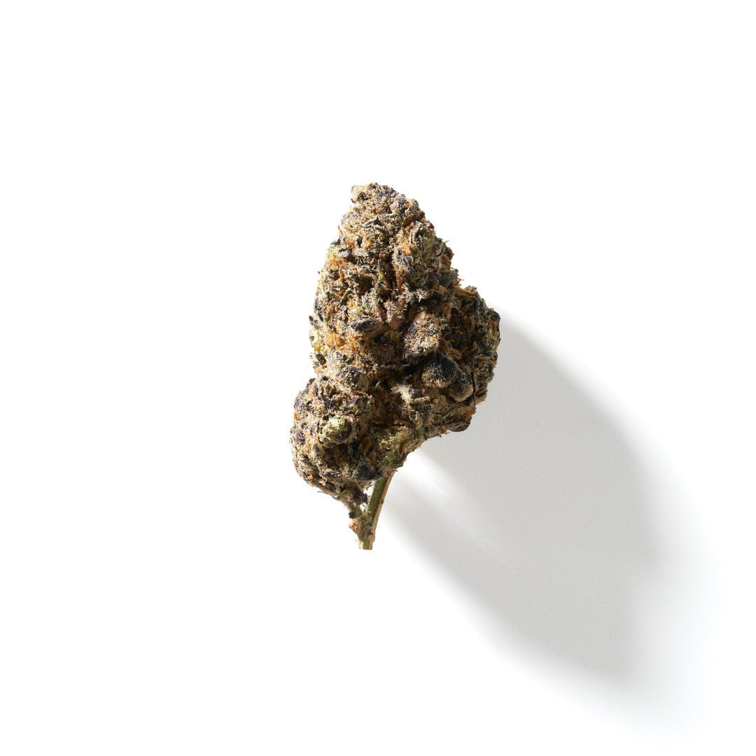 BudMother Tropical Runtz HHC Flower - BudMother.com