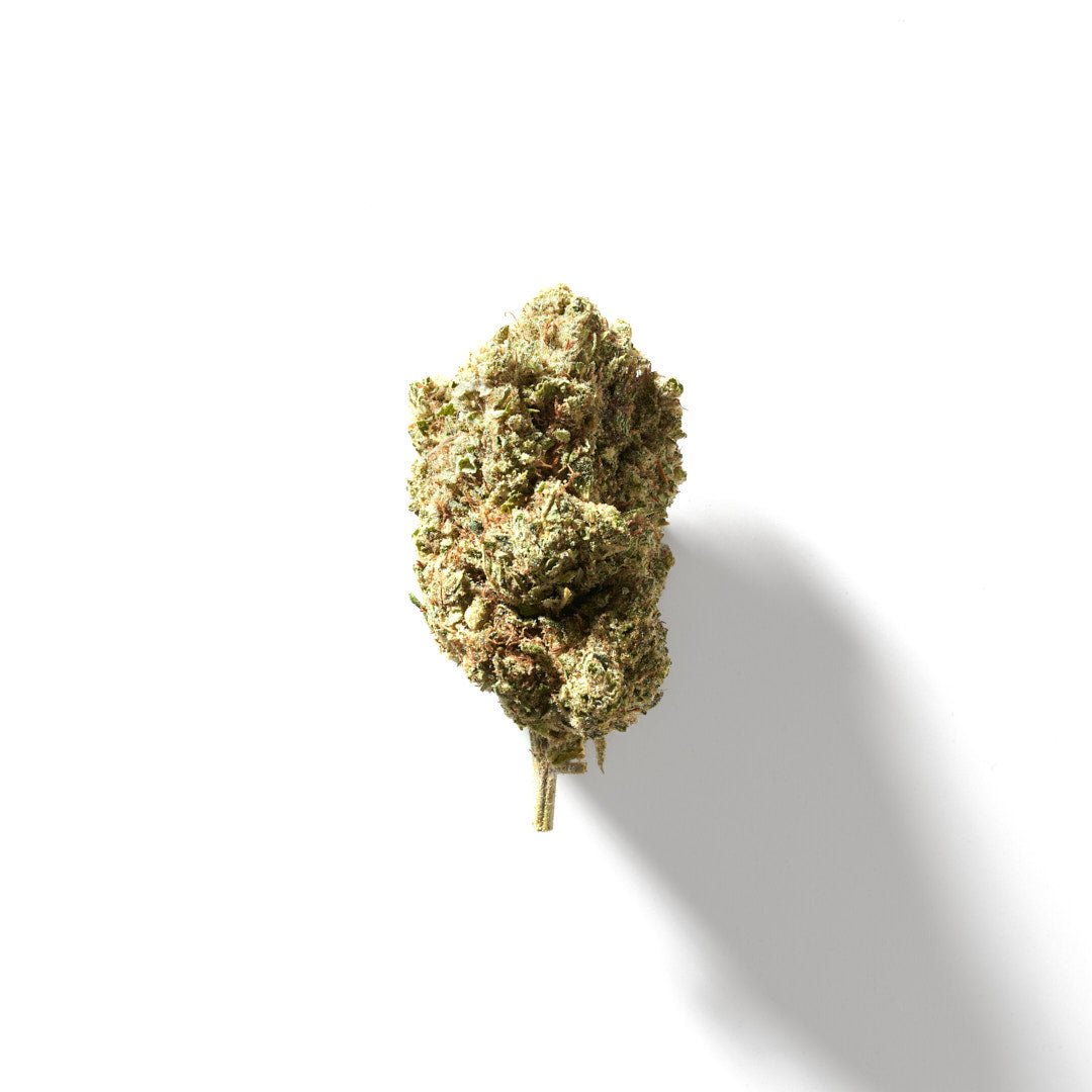 BudMother White Widow HHC Flower