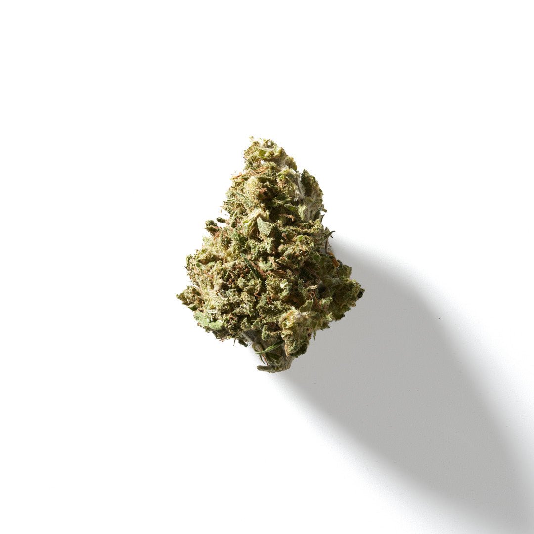 BudMother Sorbet Punch THCA Hemp Flower