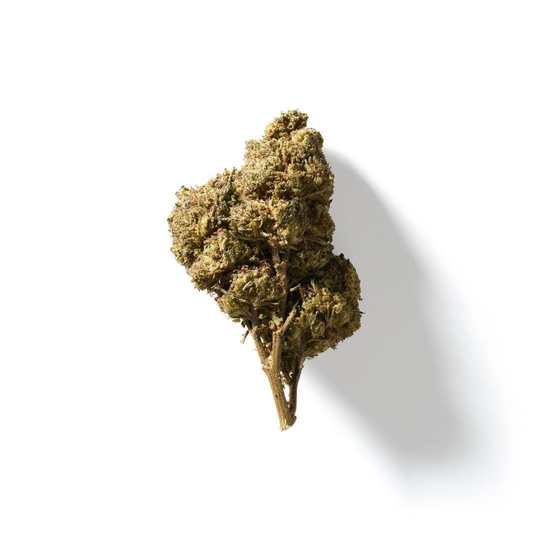 BudMother Platinum Jack HHC Flower