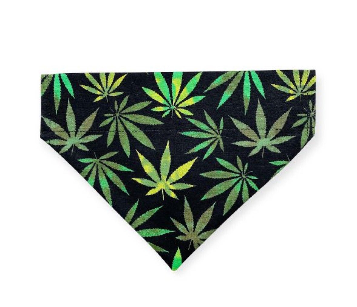 Weed Leaf Dog Bandana - BudMother.com