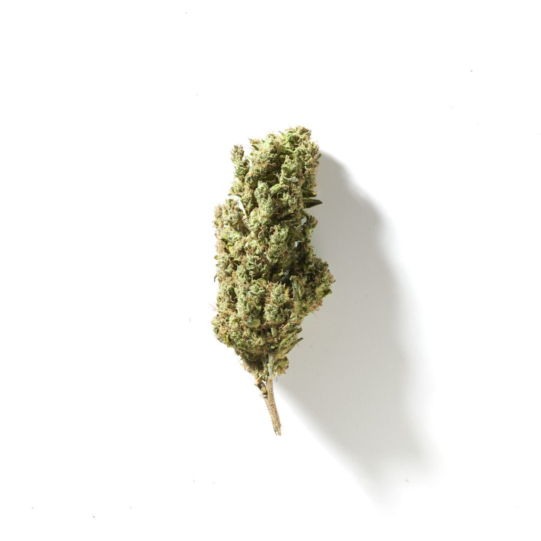 BudMother Northern Lights CBD Hemp Flower - BudMother.com