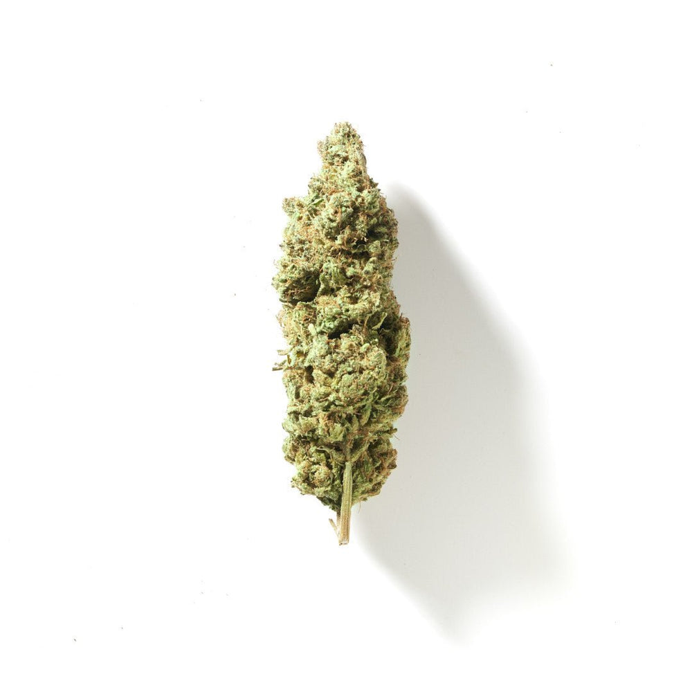 BudMother V1 CBD Hemp Flower - BudMother.com