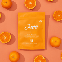 Load image into Gallery viewer, Juno Lion's Mane Gummies - BudMother.com
